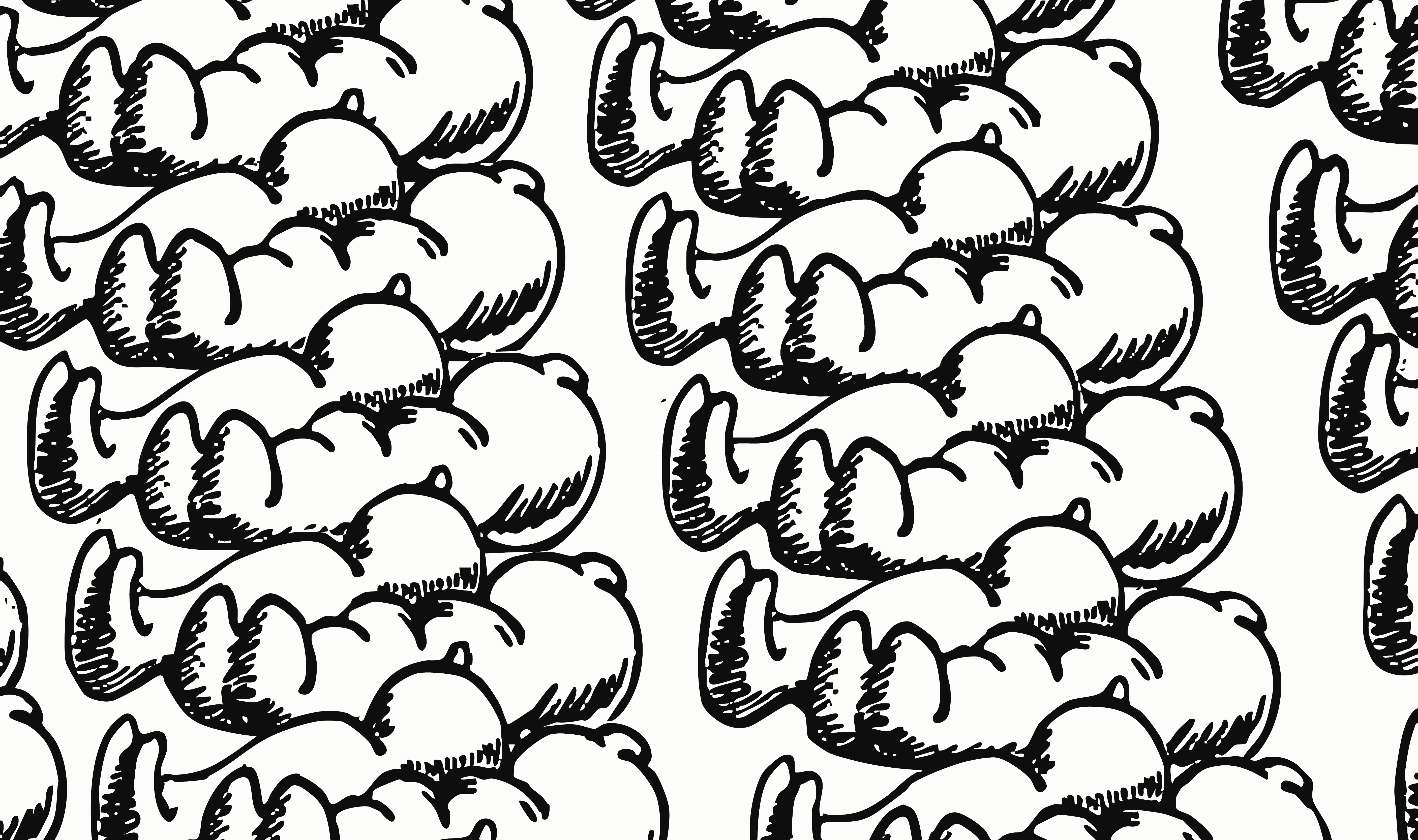 Nezir Akkul: Snowblind